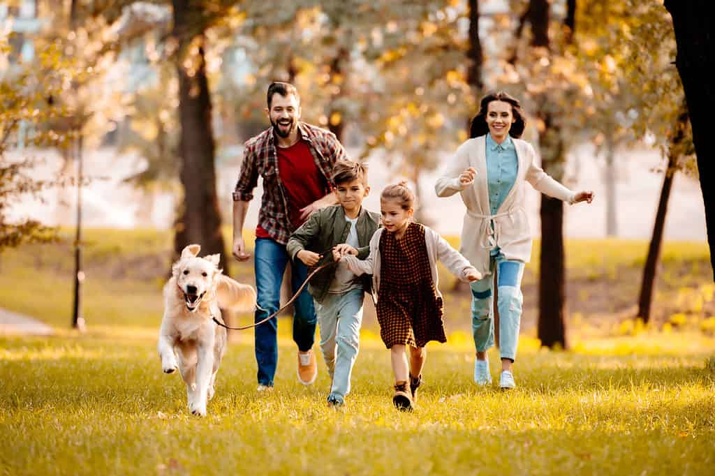 A beautiful shot of a happy family.