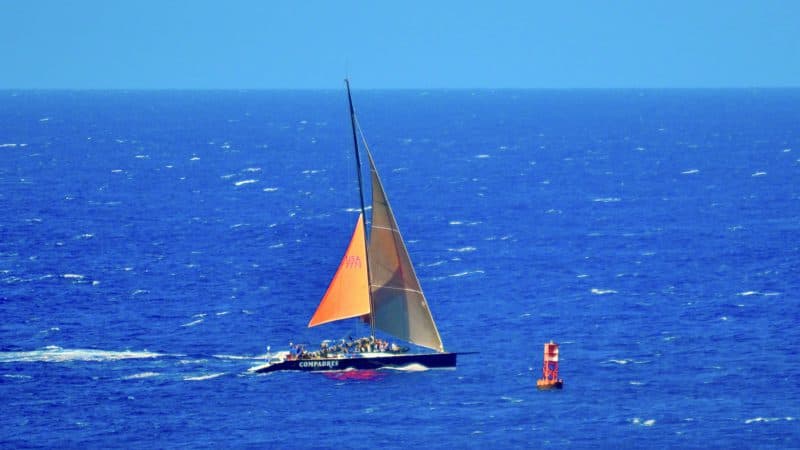 A Letter From the CEO_Sailing Boat A Letter From the CEO_Sailing Boat